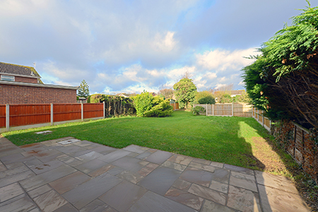 garden after