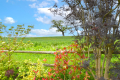 3 Alford Grange, Myddle, Shrewsbury, Shropshire, SY4 3AU